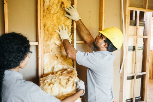 Insulation Replacement Services in Oak Hills Place, LA
